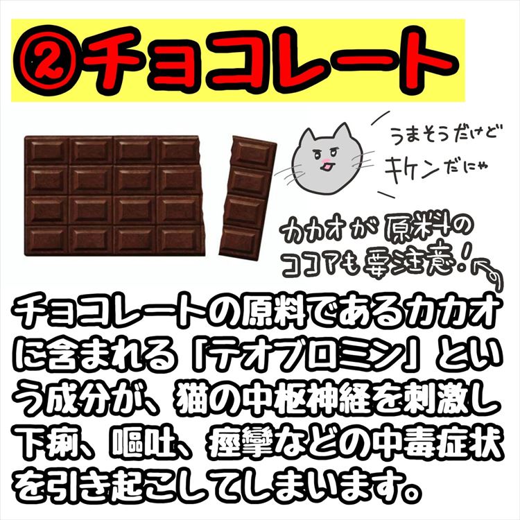 2．チョコレート。チョコレートの原料であるカカオに含まれる「テオブロミン」という成分が、猫の中枢神経を刺激し、下痢・嘔吐・痙攣などの中毒症状を引き起こしてしまいます。カカオが原料のココアも要注意です。