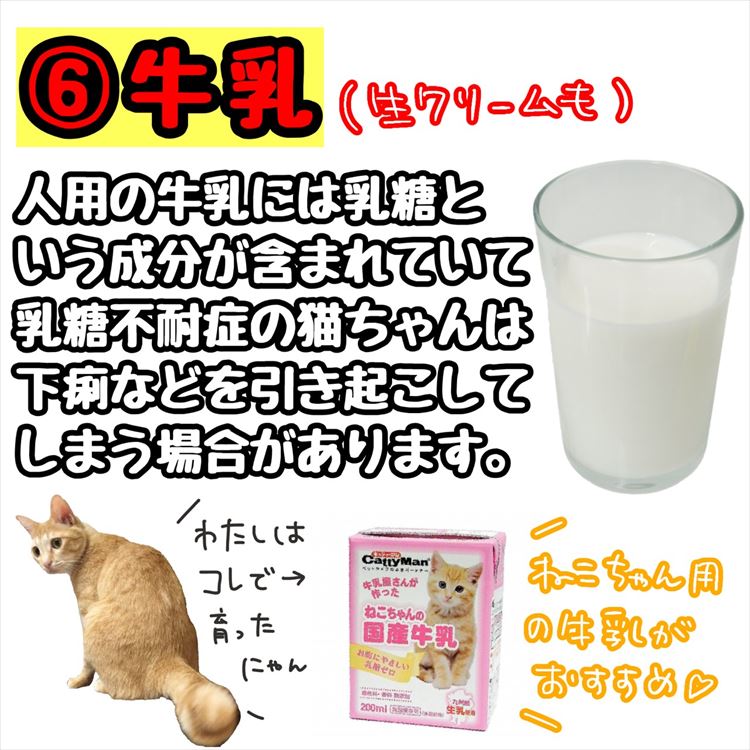 6．牛乳（生クリームも）。人用の牛乳には乳糖という成分が含まれていて、乳糖不耐症の猫ちゃんは下痢などを引き起こしてしまう場合があります。ねこちゃん用の牛乳がおすすめです。